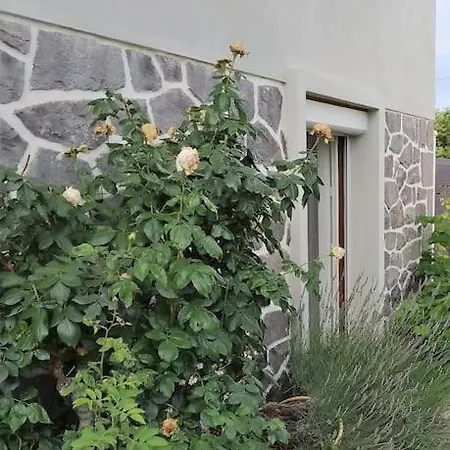 דירה Grand Avec Jardin Et Entree Privative A Noter Reservations De 3 Nuits Minimum קלרמונט-פרנד