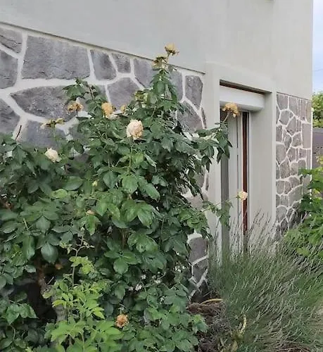 Apartment Grand Avec Jardin Et Entree Privative A Noter Reservations De 3 Nuits Minimum Clermont-Ferrand